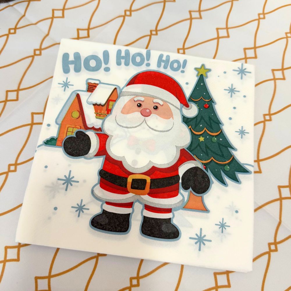 Guardanapos Decorativos Natalinos com 10un- Várias Estampas