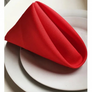 Guardanapo Oxford 35 X 35 Várias Cores