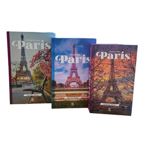 Kit 3un Caixa Porta Objeto Livro Fake Decorativo - Primavera em Paris