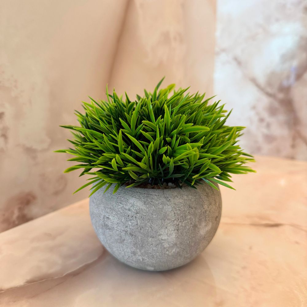 Vasos decorativos - Vários modelos