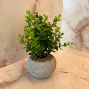 Vasos decorativos - Vários modelos