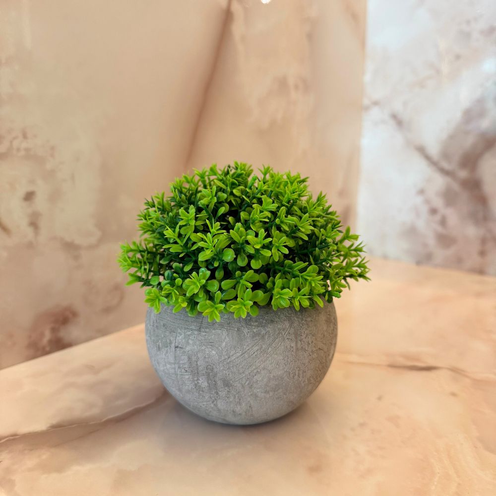 Vasos decorativos - Vários modelos